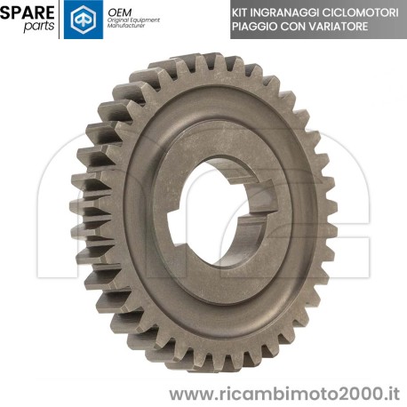 inranaggio-10054-K.jpg_1