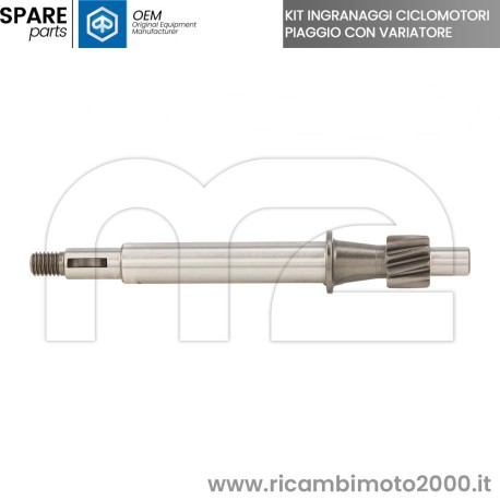 10054-K-cif-stelo.jpg_1