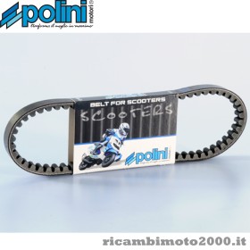 polini 248078.jpg_1