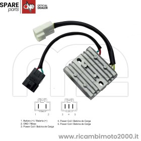 REGOLATORE-SH-300-2007.jpg_1