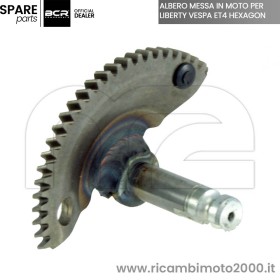 ALBERO-PIAGGIO-478723-BCR4.jpg_1