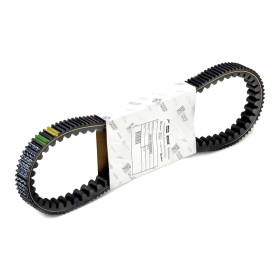 CINGHIA-PIAGGIO-832738.jpg_1