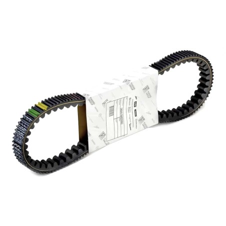 CINGHIA-PIAGGIO-832738.jpg_1