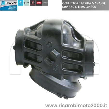 collettore-841697.jpg_1