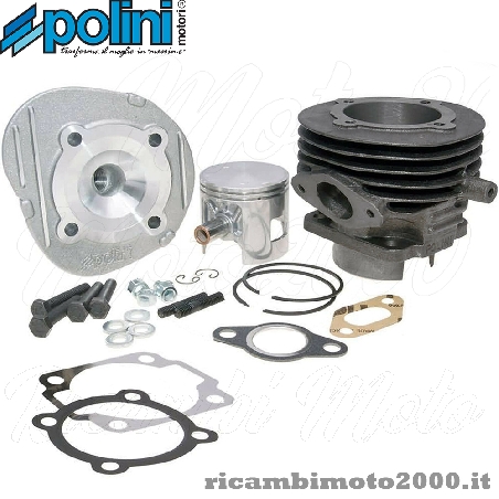 1400056 polini.jpg_1