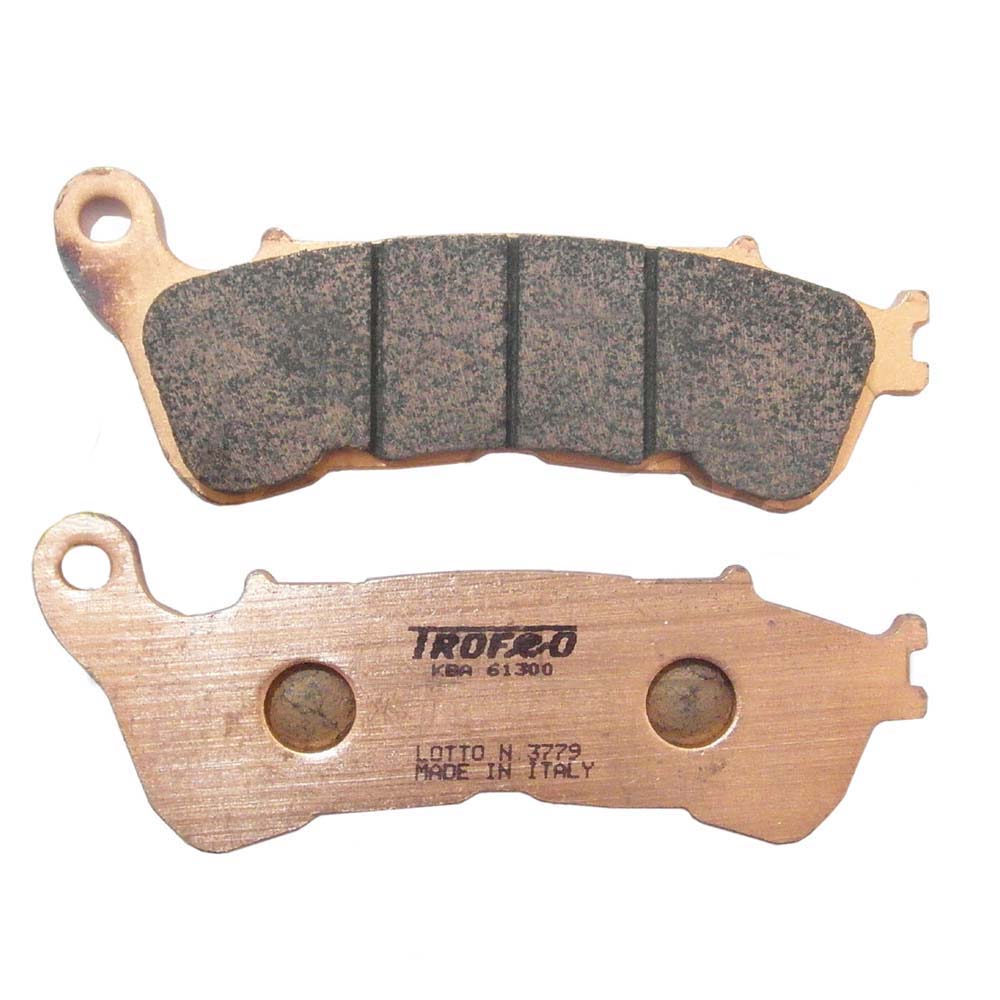 COPPIA PASTIGLIE FRENO TROFEO 43030701 SINTERIZZATE FDB2196