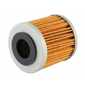 FILTRO-PIAGGIO-880887.jpg_1