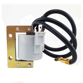 BOBINA-M2-244114.jpg_1