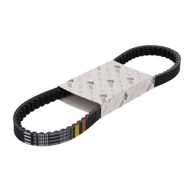 CINGHIA-PIAGGIO-4808523.jpg_1