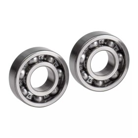 MALOSSI-6616872E-MALOSSI.jpg_1