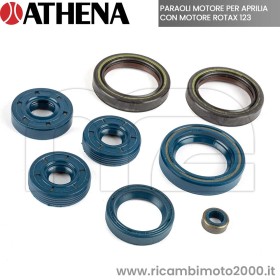 PARAOLI-MOTORE-ROTAX-123.jpg_1