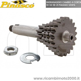 ingranaggio quadruplo pinasco 4 corta 01.jpg_1