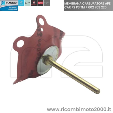 MEMBRANA-APE-195785.jpg_1