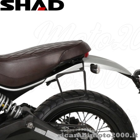a_shad9544.jpg_1