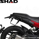 a_shad9559.jpg_1