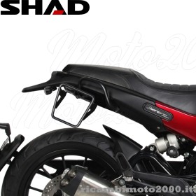 a_shad9559.jpg_1
