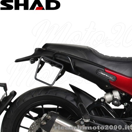 a_shad9559.jpg_1