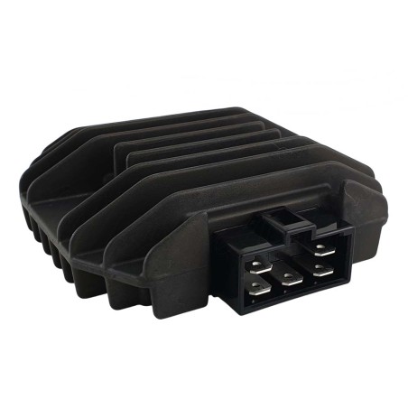 REGOLATORE-4JH8-1960-01-00.jpg_1