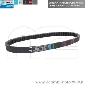 cinghia-piaggio-1a011456.jpg