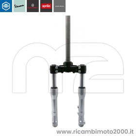 PIAGGIO-1C000190R-PI.jpg_1