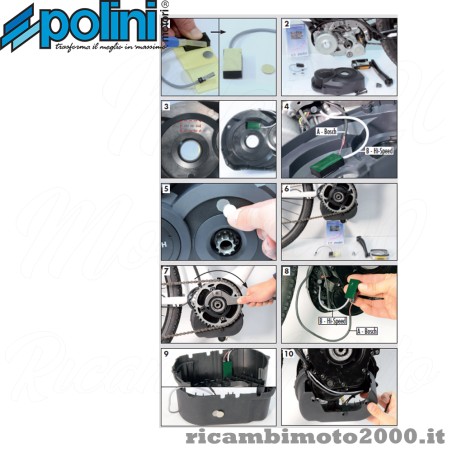 polini 950830031_02.jpg_1