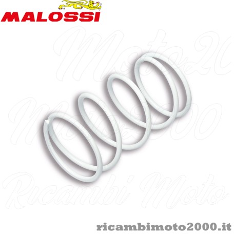 MALOSSI 2911478w0.jpg_1