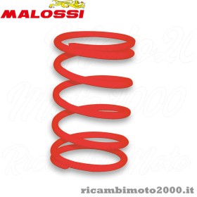 malossi 299976r0.jpg_1