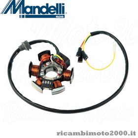 statore 6mianrelli am6 senza piastra.jpg