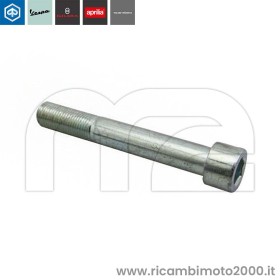 PIAGGIO-646139-VITE.jpg_1