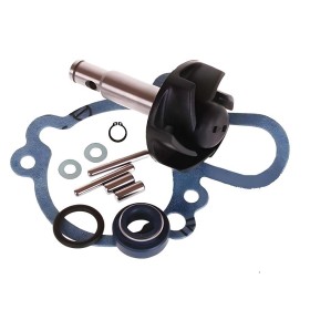 TOP-AA00789-MINARELLI-AM6.jpg_1