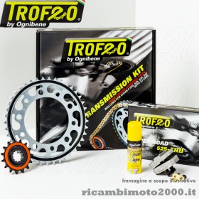 kittrofeonew31.jpg_1