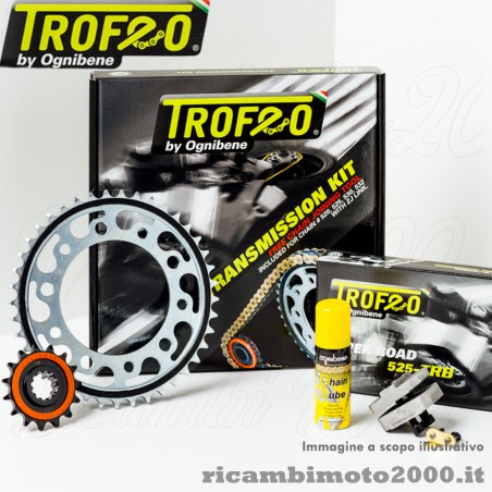 kittrofeonew359.jpg_1