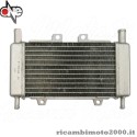 radiatore gilera runner zip sp 50.jpg