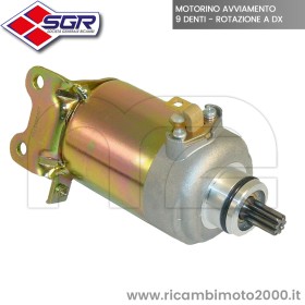 MOTORINO AVVIAMENTO LEONARDO SCARABEO ROTAX.jpg_1