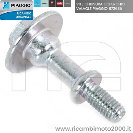 vite piaggio 872635 01.jpg_1