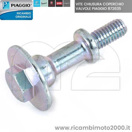 vite piaggio 872635 02.jpg_1