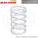 MOLLA MALOSSI BIANCA PIAGGIO 400 500.jpg_1