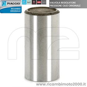 piaggio 829661 01.jpg