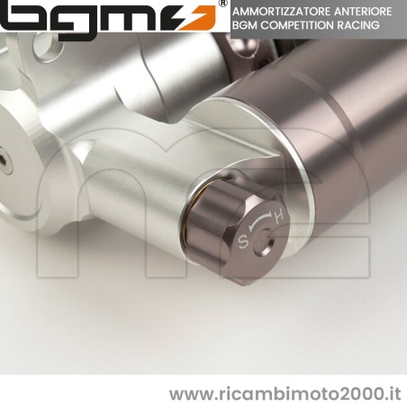 PIAGGIO BGM7781 02.jpg_1