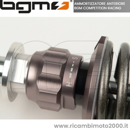 PIAGGIO BGM7781 03.jpg_1