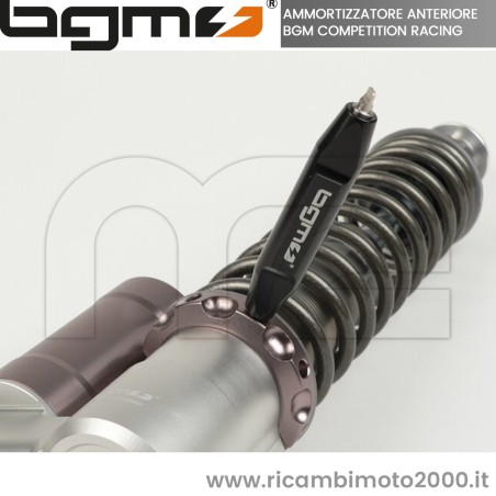 PIAGGIO BGM7781 04.jpg_1