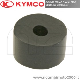 CAVALLETTO 00166100.jpg