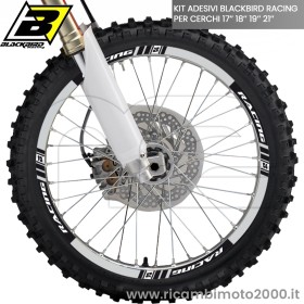 BLACKBIRD 508120.jpg