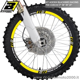 BLACKBIRD 508140.jpg