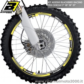 BLACKBIRD 508840.jpg