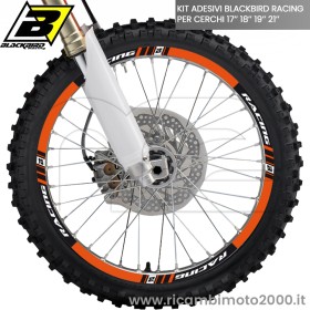 BLACKBIRD 508190.jpg