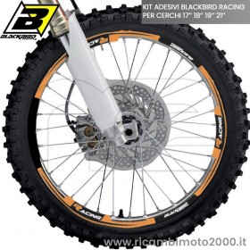 BLACKBIRD 508890.jpg