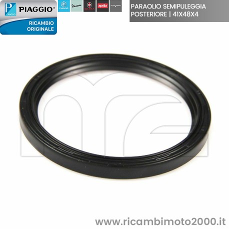 PARAOLIO 431089 01.jpg