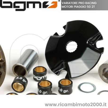 variomatik_bgm_pro_piaggio_50_ccm_bgm2301n_2_.jpg_1