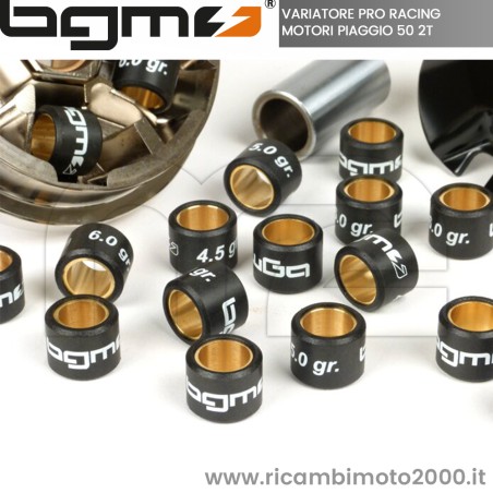 variomatik_bgm_pro_piaggio_50_ccm_bgm2301n_4_.jpg_1